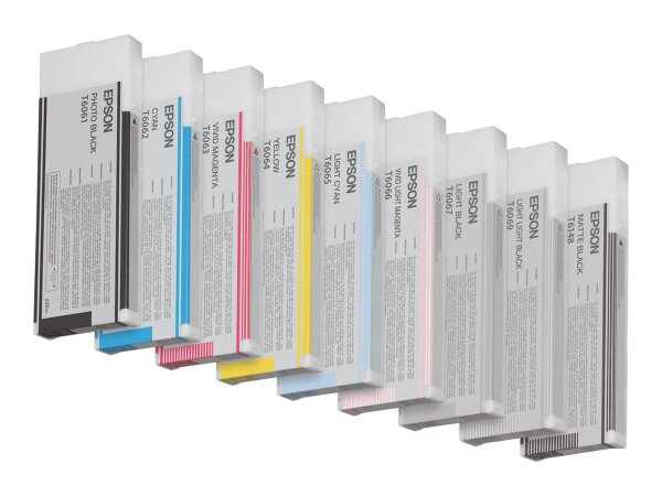 EPSON 5LB T6067 ink cartridge light black standard capacity 220ml 1-pack