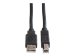 ROLINE USB 2.0 Kabel Typ A-B schwarz 0,8m