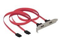 DELOCK Slotblech intern 2x SATA zu 2x eSATA extern