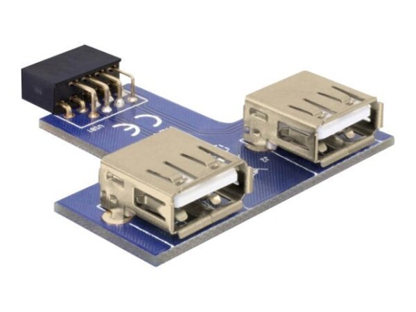 DELOCK MBz USB Pinheader Bu > 2x USB2.0-A Bu ne