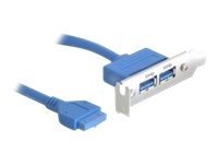 DELOCK Slotblech - USB 3.0 2x Port extern / 1x Pinheader...