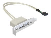 DELOCK Slotblech - USB 2.0 2xPort Low Profile