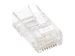 INTELLINET Cat5e RJ45 Modularstecker UTP 3-Punkt-Aderkontaktierung fuer Massivdraht 100 Stecker pro Becher