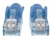 INTELLINET Netzwerkkabel Cat6A S/FTP CU LS0H 7,5m Blau RJ-45 Stecker / RJ-45 Stecker Vergoldete Kontakte