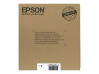 EPSON 2LB EasyMail MP Cheetah DURABrite Ultra CMYK