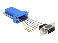 DELOCK Adapter Sub-D 9Pin Bu > RJ45 Bu. Montagesatz