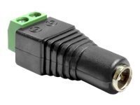 DELOCK Adapter Terminalblock > DC 2,5 x 5,5mm Buchse