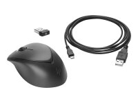 HP Wireless Premium Mouse Right and left-handed Laser 3 Buttons 2.4GHz USB Wireless receiver Black