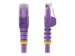 STARTECH.COM 3 m Purple Cat6 Patch Cable with Snagless RJ45 Connectors - Cat6 Ethernet Cable - 3m Cat 6 UTP Cable