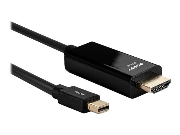 LINDY Kabel Mini DisplayPort/HDMI 4K30 DP: passiv 3m mDP Stecker an HDMI Stecker