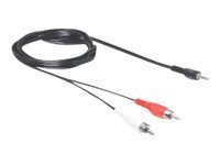 DELOCK Kabel Audio 3,5 mm Klinkenstecker > 2 x Cinch Stecker 5 m