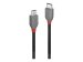 LINDY 1m USB 2.0 USB/C - Micro-B, Anthra Line