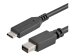 STARTECH.COM 1,8m USB-C auf Mini DisplayPort Kabel - USB C zu mDP Kabel - 4K 60Hz - Schwarz