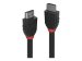 LINDY 0,5m High Speed HDMI Kabel Black Line