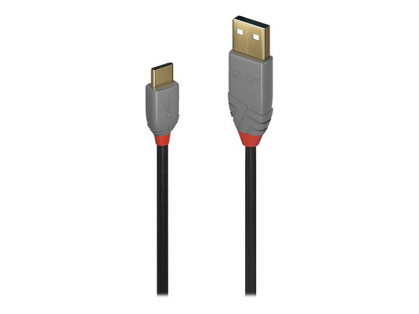 LINDY 1m USB 2.0 Typ A an C Kabel Anthra Line