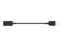 LENOVO USB-C to Slim-Tip cable adapter