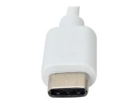 TECHLY USB 3.1 Typ C auf RJ45 Gigabit 10/100/1000...