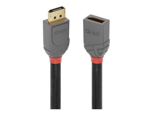 LINDY 0.5m DisplayPort Verlängerungskabel Anthra Line