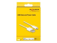 DELOCK USB Daten- und Ladekabel für iPhone iPad iPod...