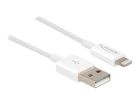 DELOCK USB Daten- und Ladekabel für iPhone iPad iPod...