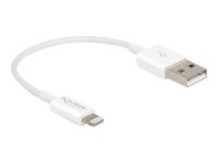 DELOCK USB Daten- und Ladekabel für iPhone iPad iPod...