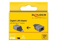 DELOCK USB Type-C Adapter zu Gigabit LAN 10/100/1000Mbps...