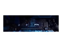 KINGSTON FURY Renegade 4000GB PCIe 4.0 NVMe M.2 SSD