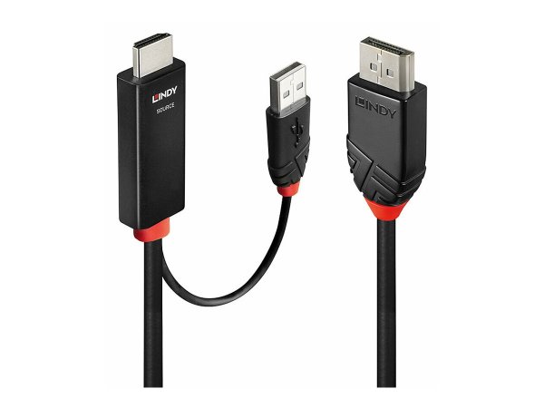 LINDY 1m HDMI an DisplayPort Adapterkabel