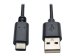 EATON TRIPPLITE USB-A to USB-C Cable USB 2.0 M/M 6ft. 1,83m