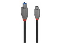 LINDY 3m USB 3.2 Typ C an B Kabel Anthra Line