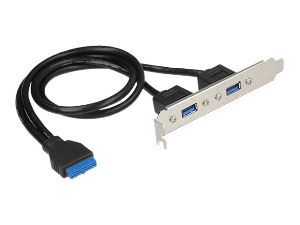 DELOCK Slotblech 1 x 19 Pin USB 3.0 Pfostenbuchse intern > 2 x USB 3.0 Typ-A Buchse extern