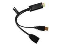 TECHLY Adapter HDMI M auf DisplayPort F + USB-A M 4Kx2K 30Hz