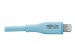 EATON TRIPPLITE Safe-IT USB-C to Lightning Sync/Charge Antibacterial Cable Light Blue 6ft. 1,83m