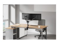 NEOMOUNTS Next Lite Flat Screen Desk Mount clamp+grommet