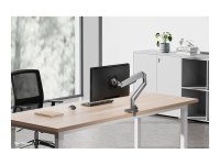 NEOMOUNTS Next Slim Desk Mount single display topfix clamp/grommet silver