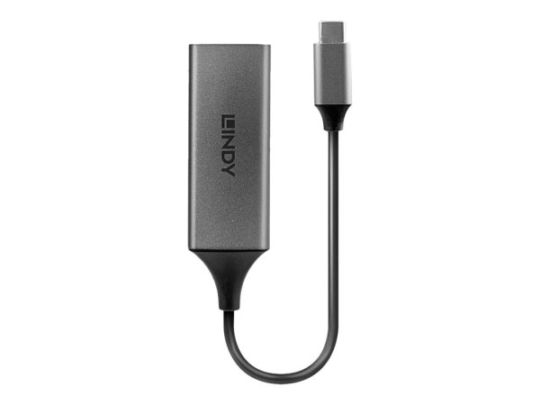 LINDY USB 3.1 Typ C Gigabit Ethernet Konverter