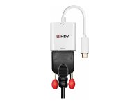 LINDY USB Typ C auf VGA Konverter